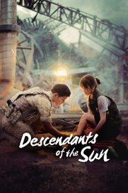Descendants of the Sun (2016) TV Show