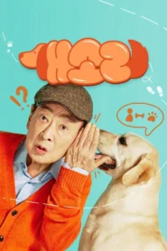 Dog Knows Everything: Season 1